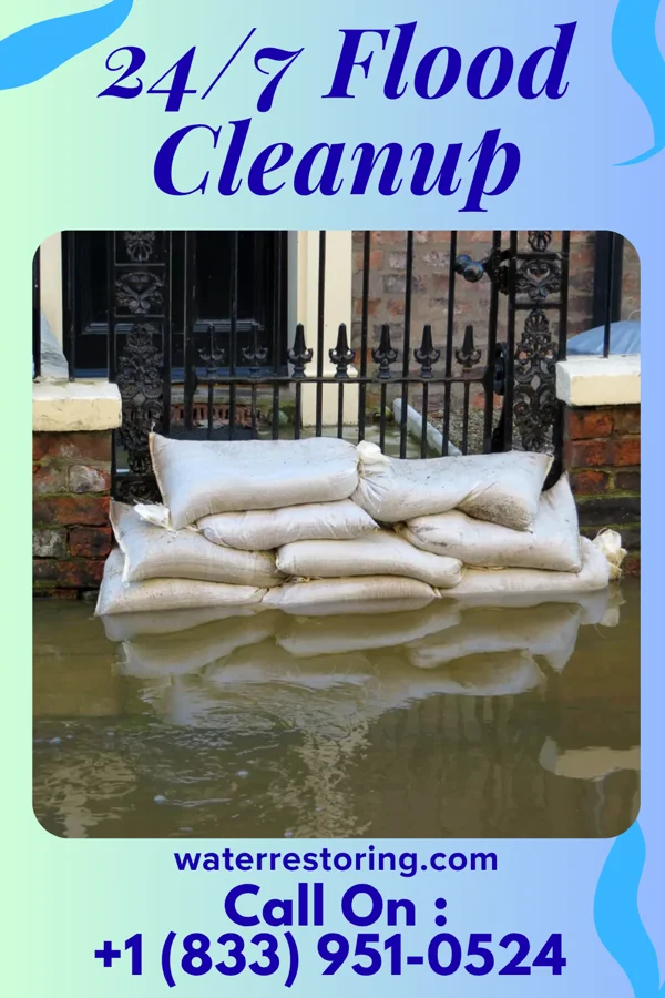 24/7 Flood Cleanup in Fanning Springs, FL