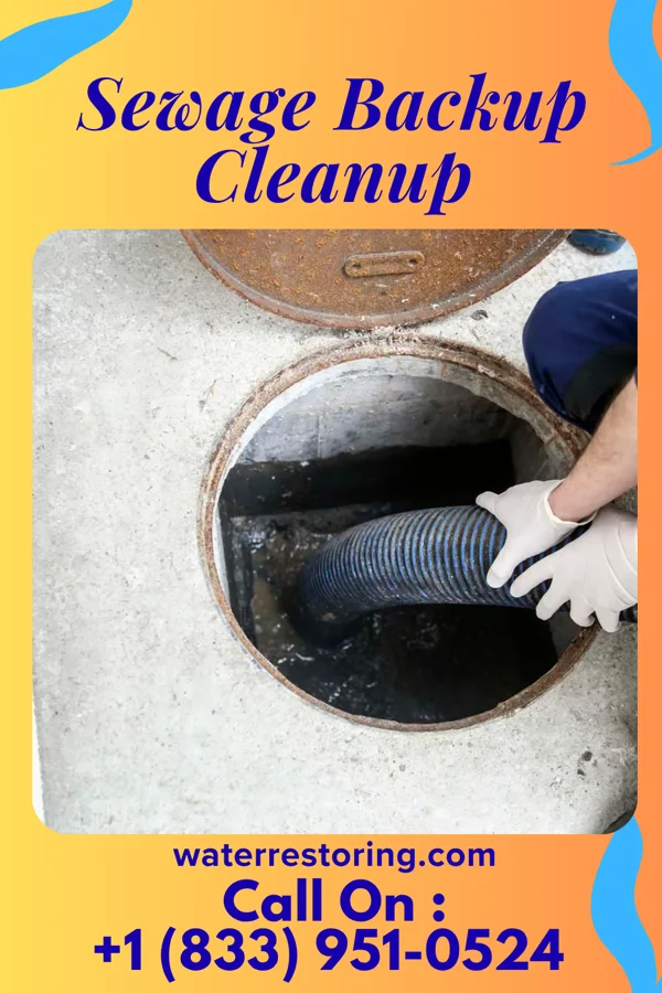 Sewage Backup Cleanup in Fanning Springs, FL